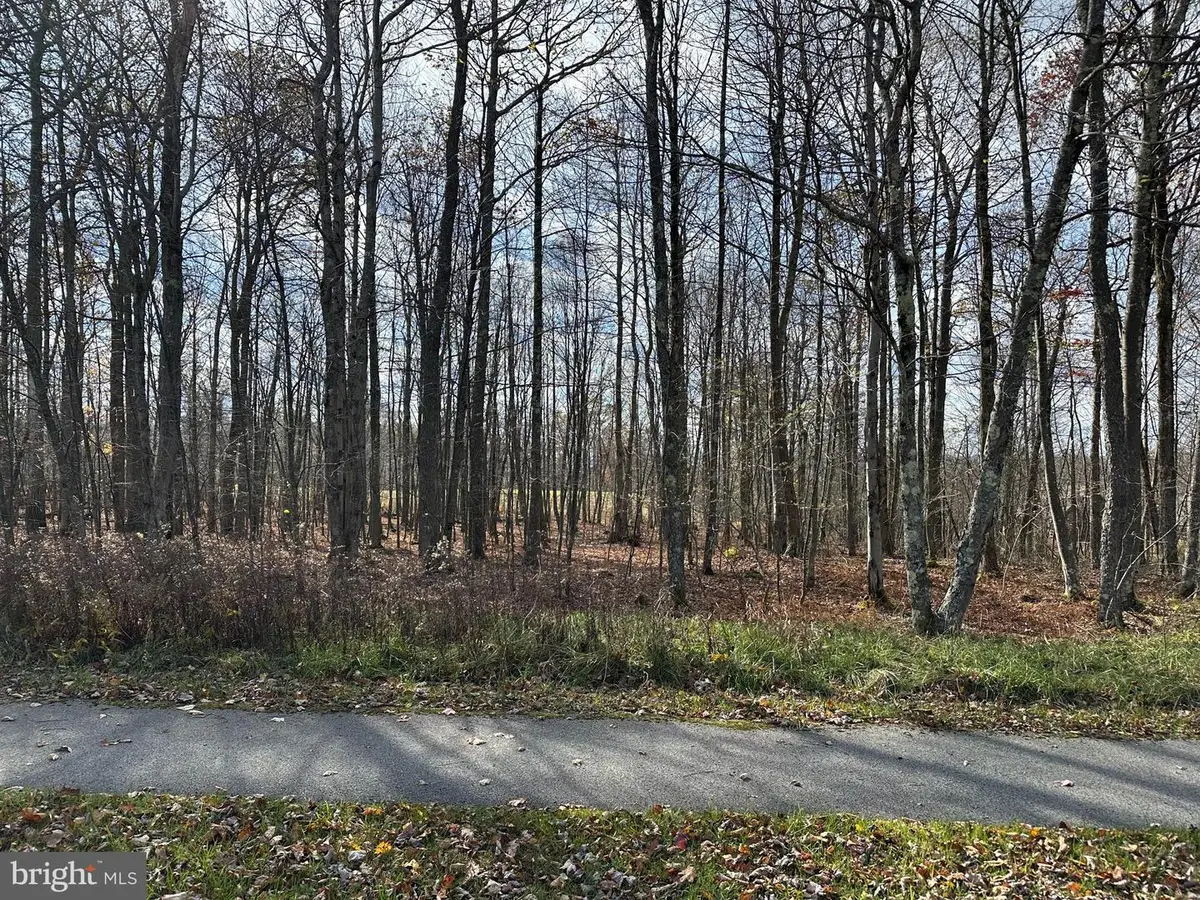 60 Sundance Way, 6 Sang Run, MD 21541 - #1