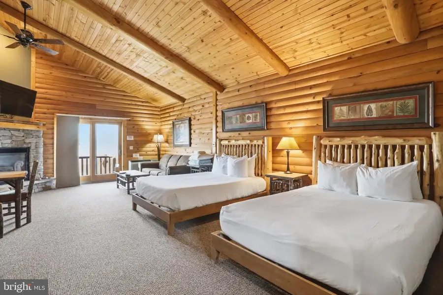 199 Cabin Lodge Rd, McHenry, MD 21541 - #2