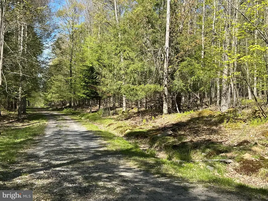 6.89 Acres Woodlands Hill Dr Dr, Oakland, MD 21550 - #2