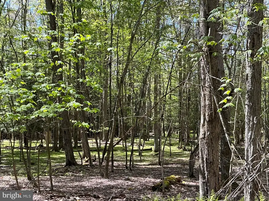 5 Acres Lake Shore Dr, Oakland, MD 21550 - #3