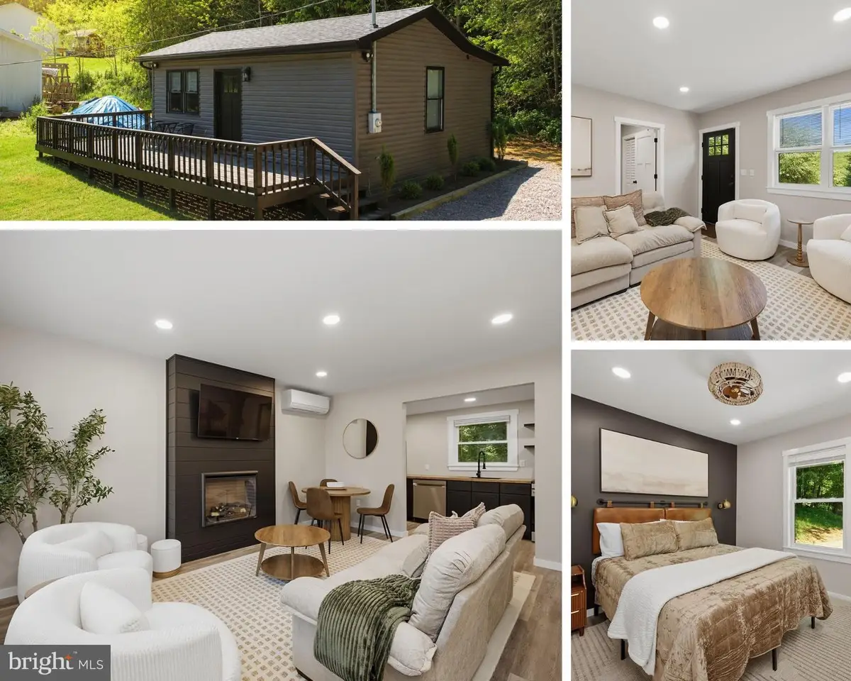 469 New Germany Rd, Swanton, MD 21561 - #1