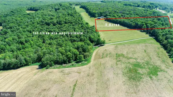 5 Acres Chestnut Ridge Rd, GRANTSVILLE, MD 21536