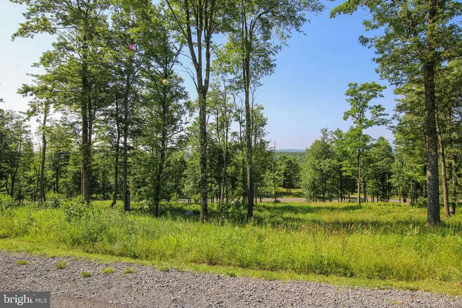 117 Campfire Dr, 6 Sang Run, MD 21541 - #2