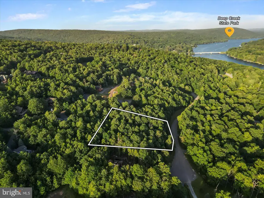Lot 22 Marsh Hill Rd, McHenry, MD 21541 - #3