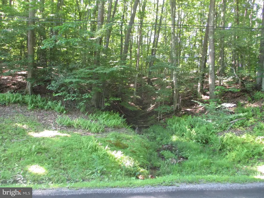 Bethlehem Rd, Oakland, MD 21550 - #2