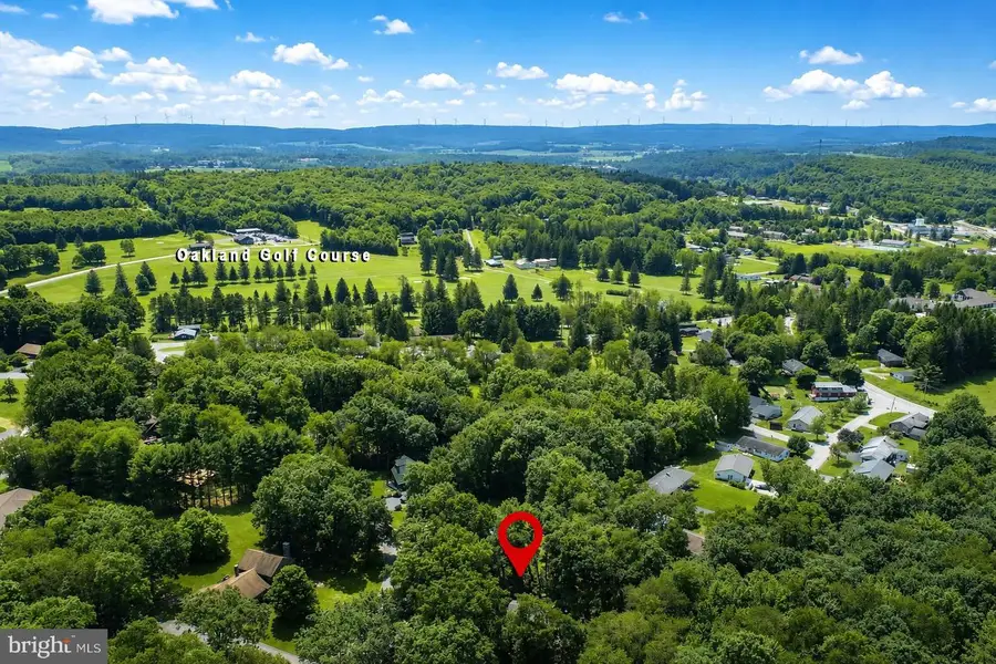 520 Palmer Ln, Oakland, MD 21550 - #3