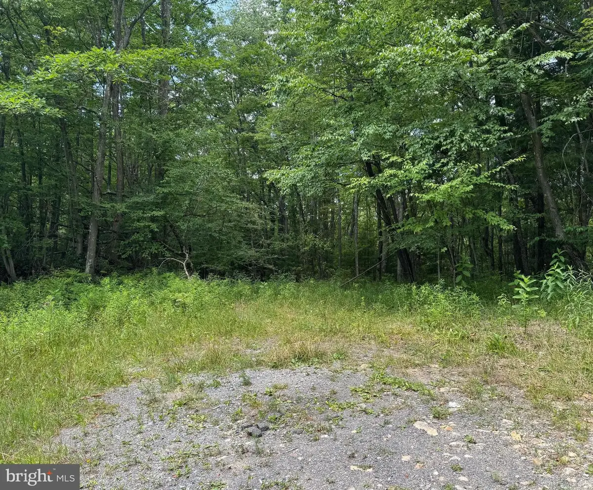 Glendale Rd, Swanton, MD 21561 - #1