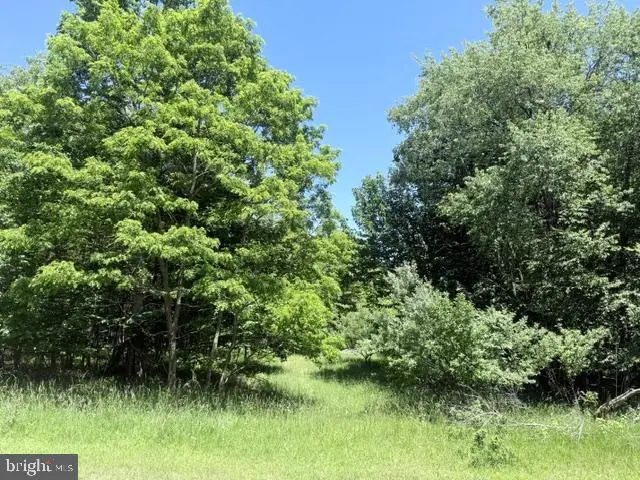 Lot 81 Sundance Way, 6 Sang Run, MD 21541 - #2