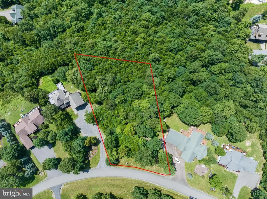Lot 58 Mountaintop Road, McHenry, MD 21541 - #2