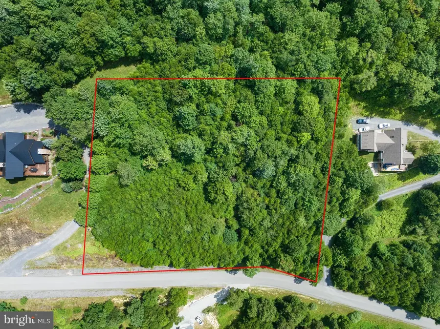 Lot 14 Woodlands Hill Lane, Oakland, MD 21550 - #3