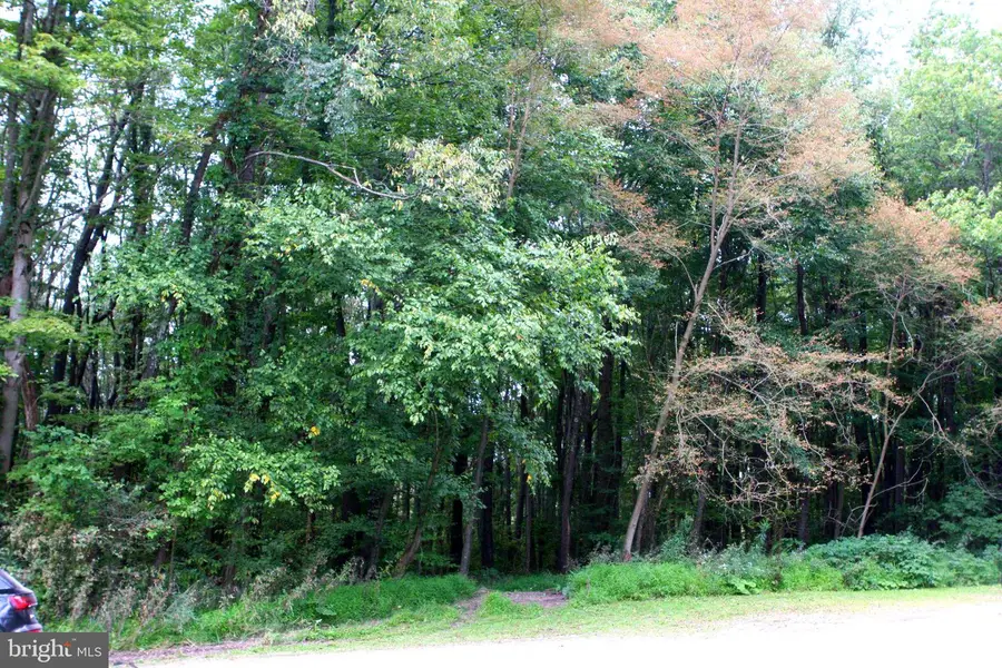 Lot 24 Moonlight Dr, Grantsville, MD 21536 - #3