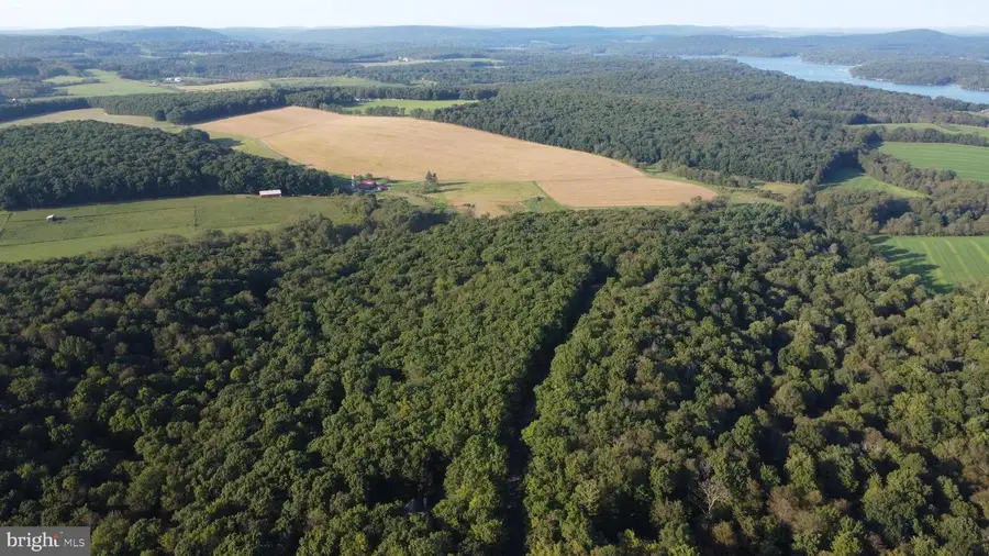 Lot 4 Hunters Ridge Dr, Oakland, MD 21550 - #2