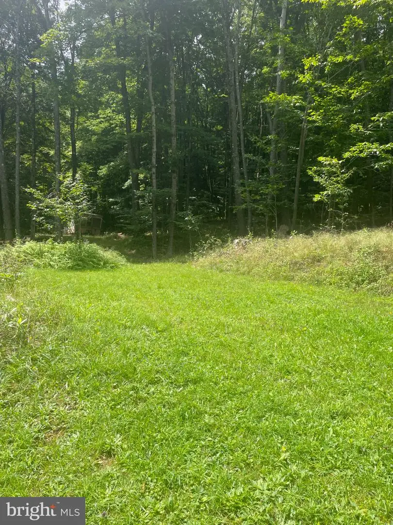 559 Guthrie Ln, Grantsville, MD 21536 - #2