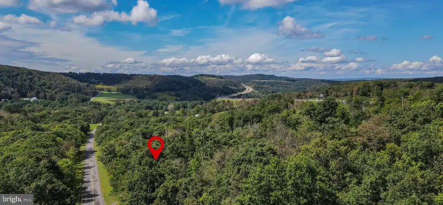 Devils Half Acre Rd, Accident, MD 21520 - #3