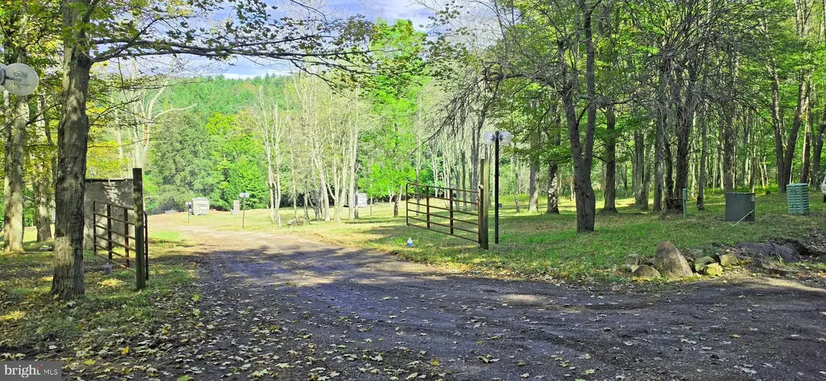Parcel 101,lot 2 Rabbit Hollow Rd, Accident, MD 21520 - #1