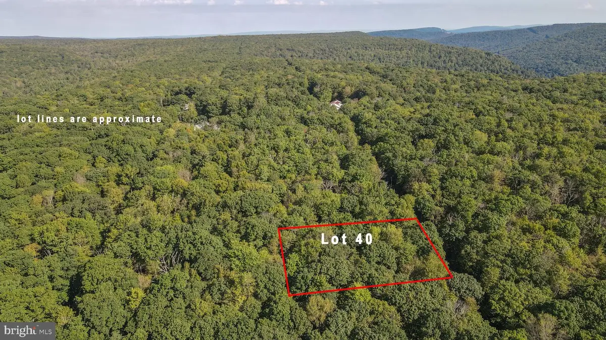Lot 40 Dogwood Dr, Oakland, MD 21550 - #1