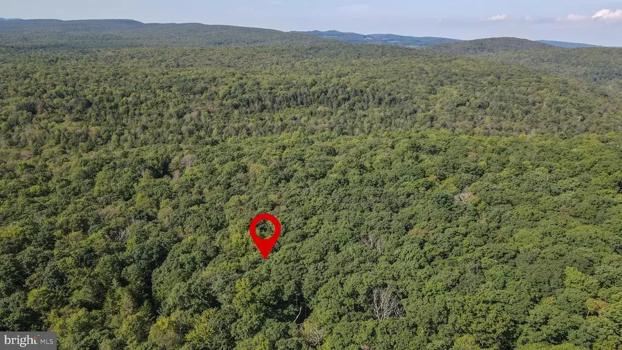 Lot 40 Dogwood Dr, Oakland, MD 21550 - #2