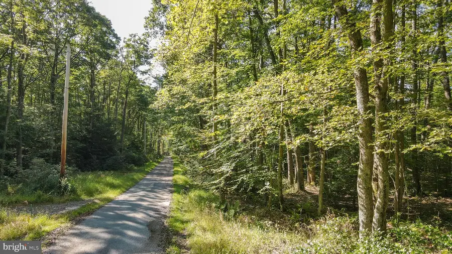 Lot 40 Dogwood Dr, Oakland, MD 21550 - #3