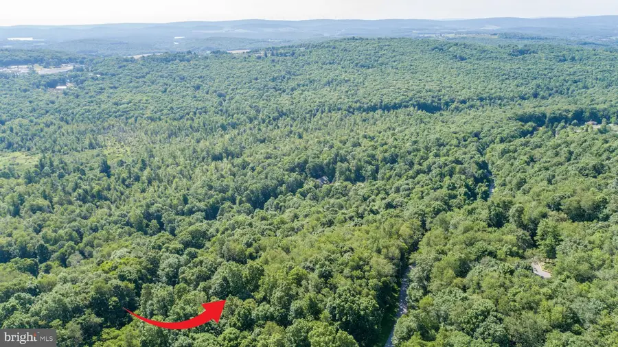 Lot 1 Betts Ln, Oakland, MD 21550 - #3
