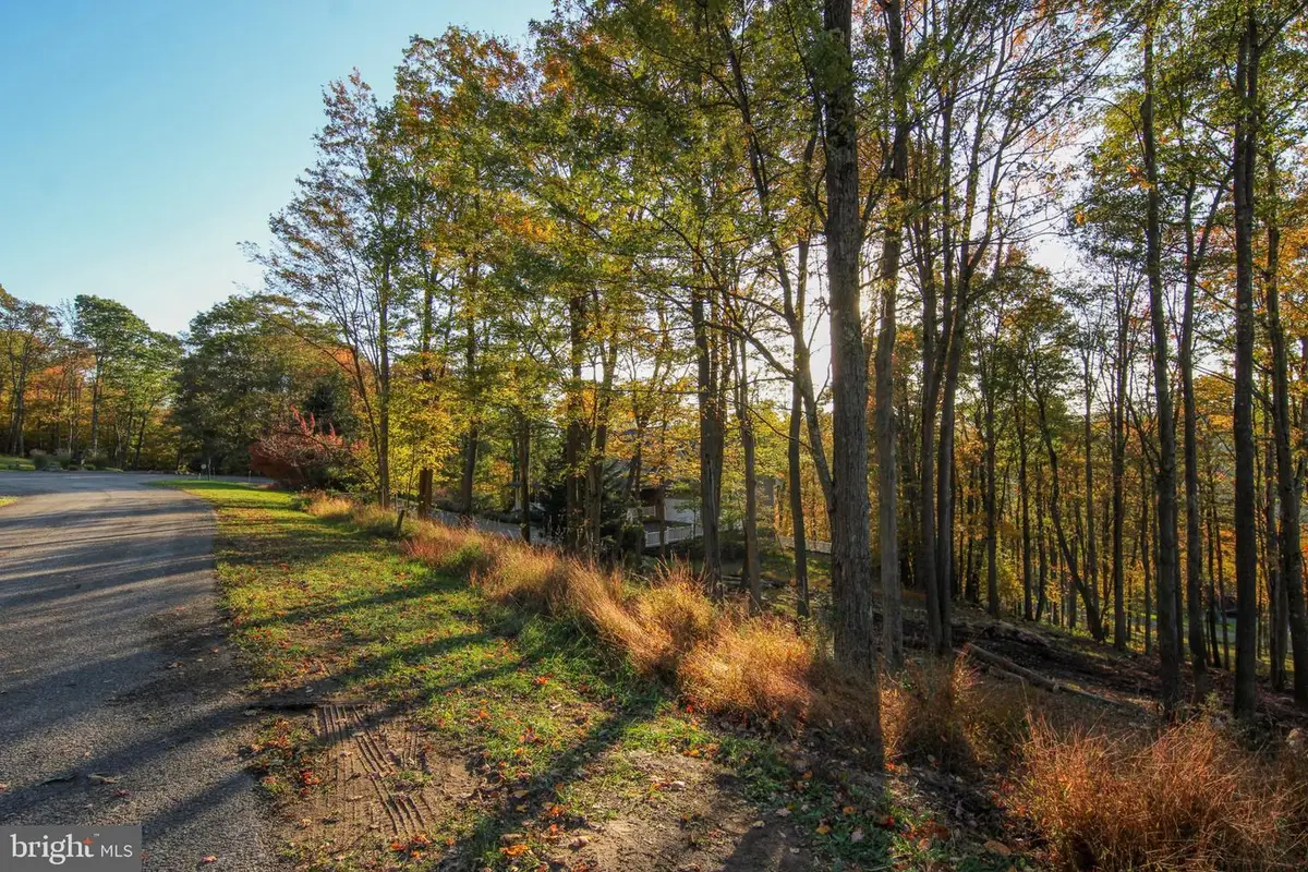 Lot 86 Falcon Way, McHenry, MD 21541 - #1