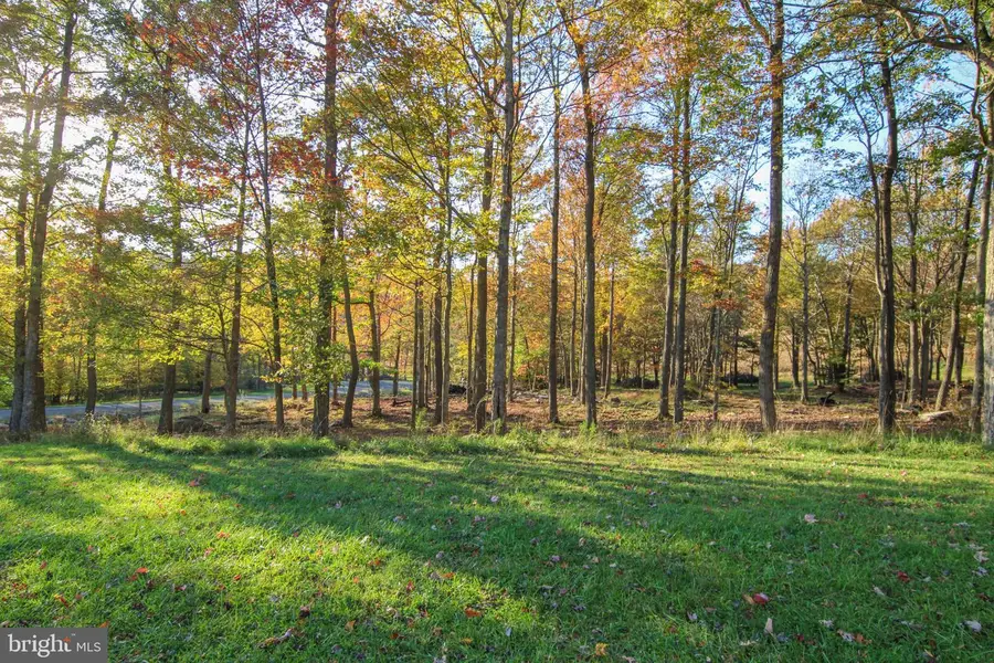 Lot 14 Golden Meadow Ln, McHenry, MD 21541 - #2