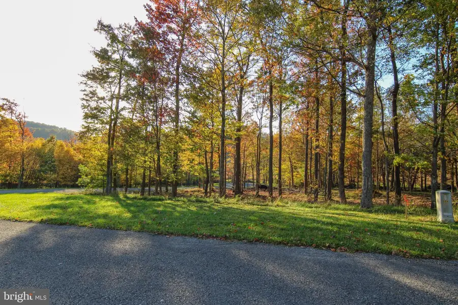 Lot 14 Golden Meadow Ln, McHenry, MD 21541 - #3