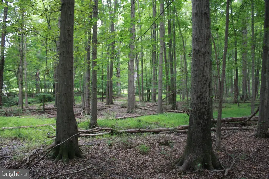 Conowingo Rd, Darlington, MD 21034 - Image #2