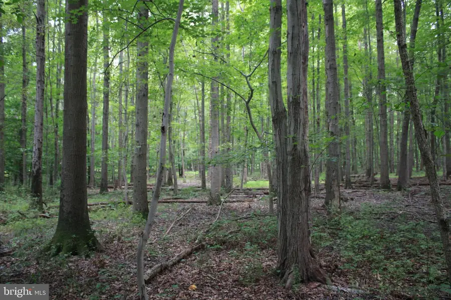 Conowingo Rd, Darlington, MD 21034 - Image #3