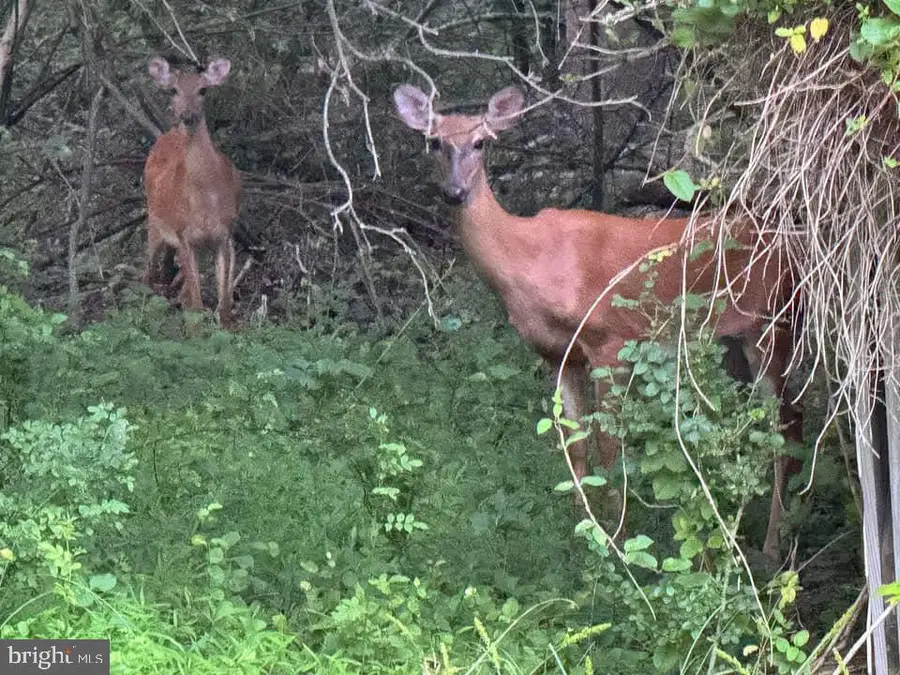 3515-b Clayton Rd, Joppa, MD 21085 - Image #2