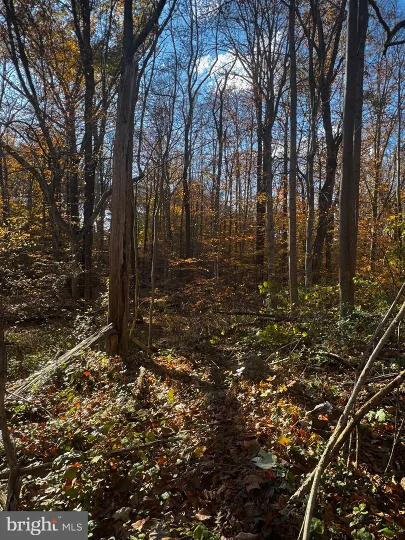 749 Gilbert Rd, Aberdeen, MD 21001 - Image #2