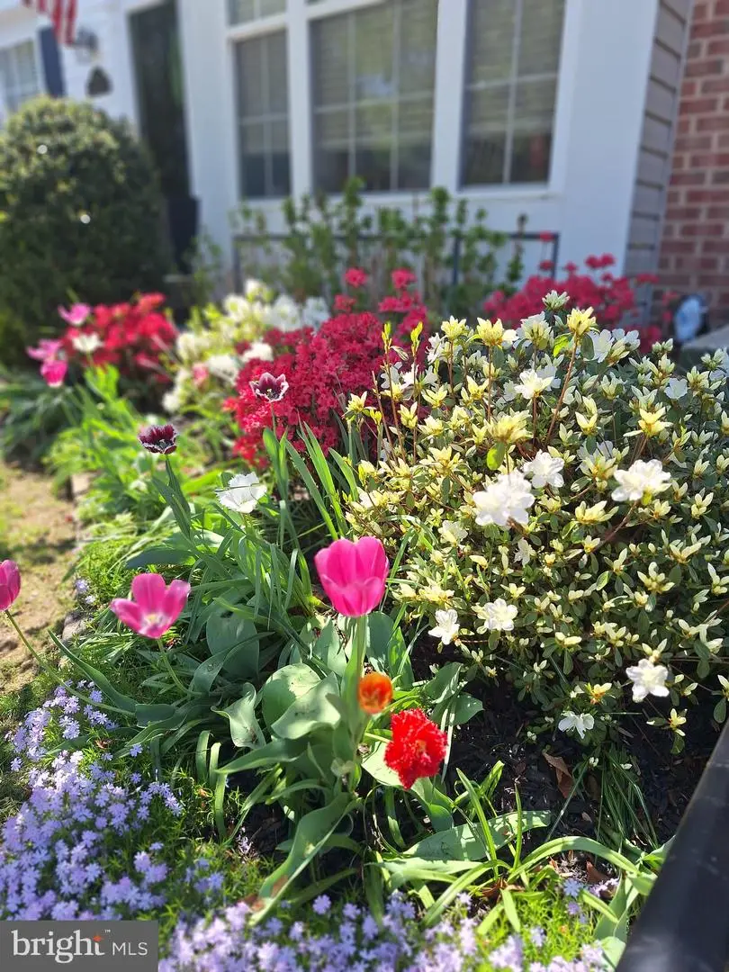 704 Shallow Ridge Ct, Abingdon, MD 21009 - #2