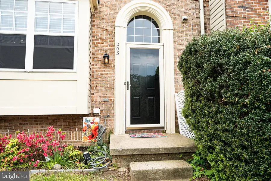 203 Ferring Ct, Abingdon, MD 21009 - #3