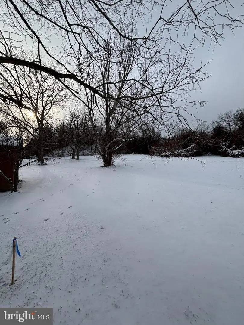 Hale Haven Dr, Ellicott City, MD 21043 - Image #1