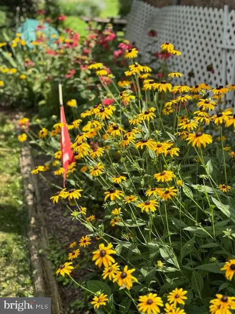 10800 Robin Lynn Dr, Ellicott City, MD 21042 - Image #3