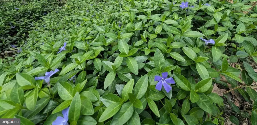 7190 Mink Hollow Rd, Highland, MD 20777 - #3