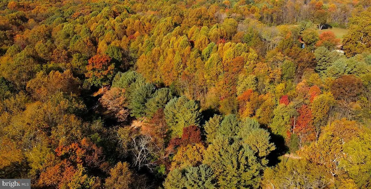 Lot 2 Ten Oaks Rd, Dayton, MD 21036 - #1