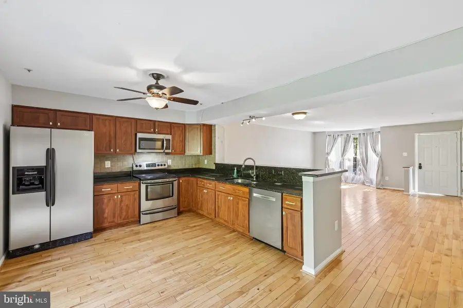 6175 Silver Arrows Way, Columbia, MD 21045 - #3