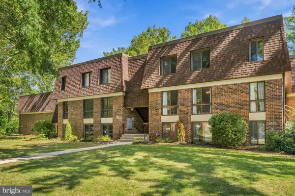 5237 W Running Brook Rd #202, COLUMBIA, MD 21044