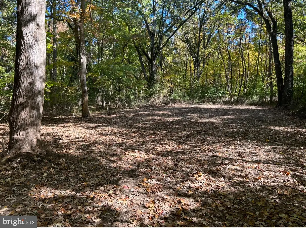 Elm Rd, Chestertown, MD 21620 - Image #1