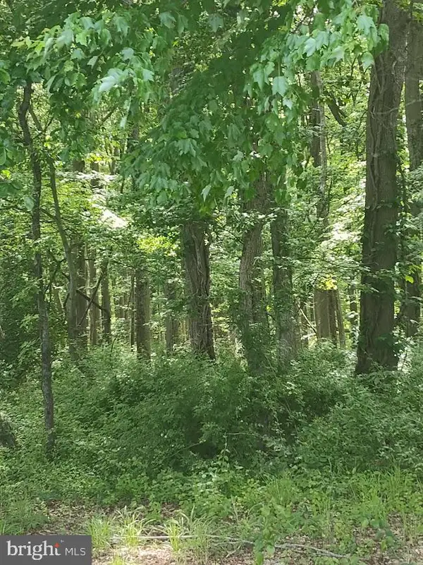 Caulks Field Road, CHESTERTOWN, MD 21620