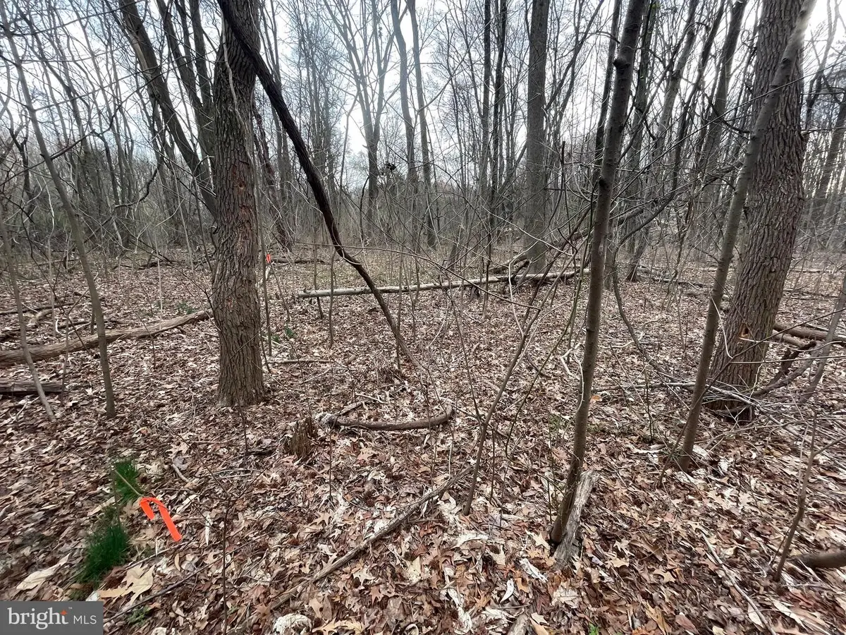 Georgetown Rd, Chestertown, MD 21620 - Image #1