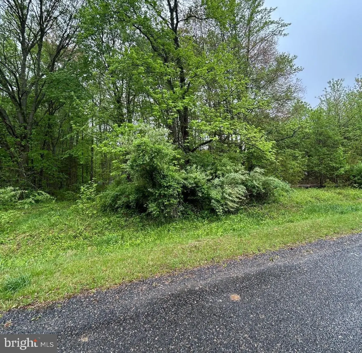 Kinglet Rd, Chestertown, MD 21620 - Image #1