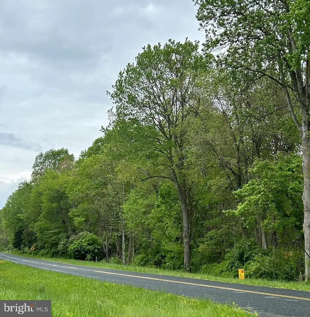 Buck Neck Rd, Chestertown, MD 21620 - Image #1