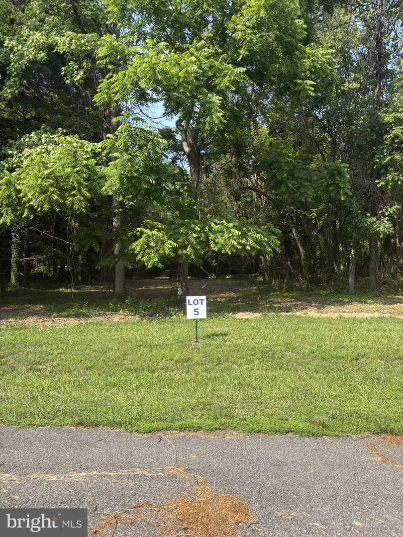 5 Wilson Point Rd, Galena, MD 21635 - Image #1