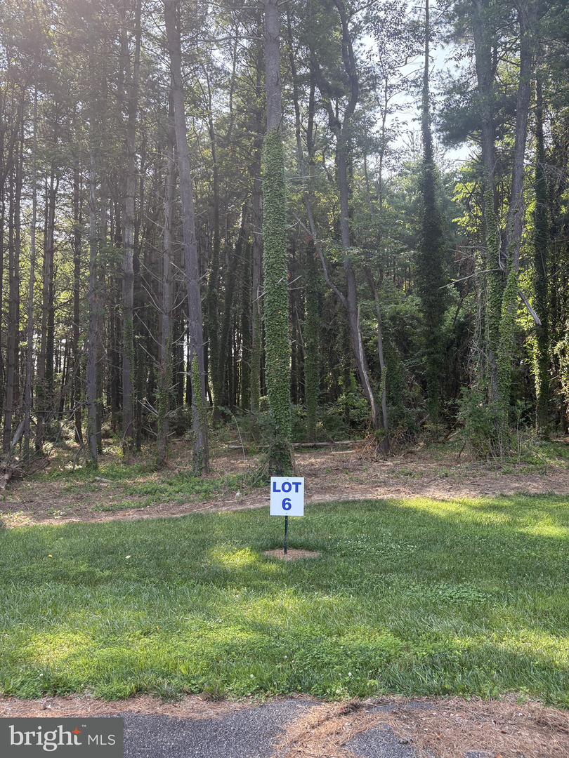 6 Wilson Point Rd, Galena, MD 21635 - Image #1
