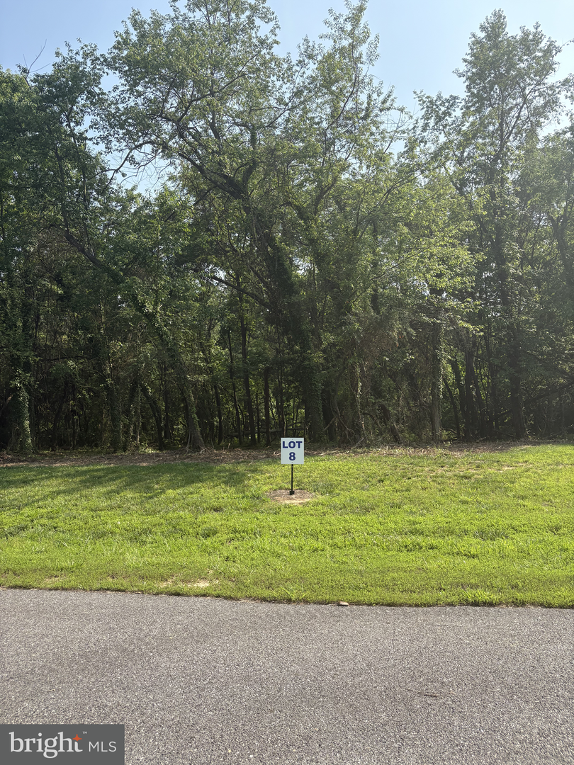 8 Wilson Point Rd, Galena, MD 21635 - Image #1