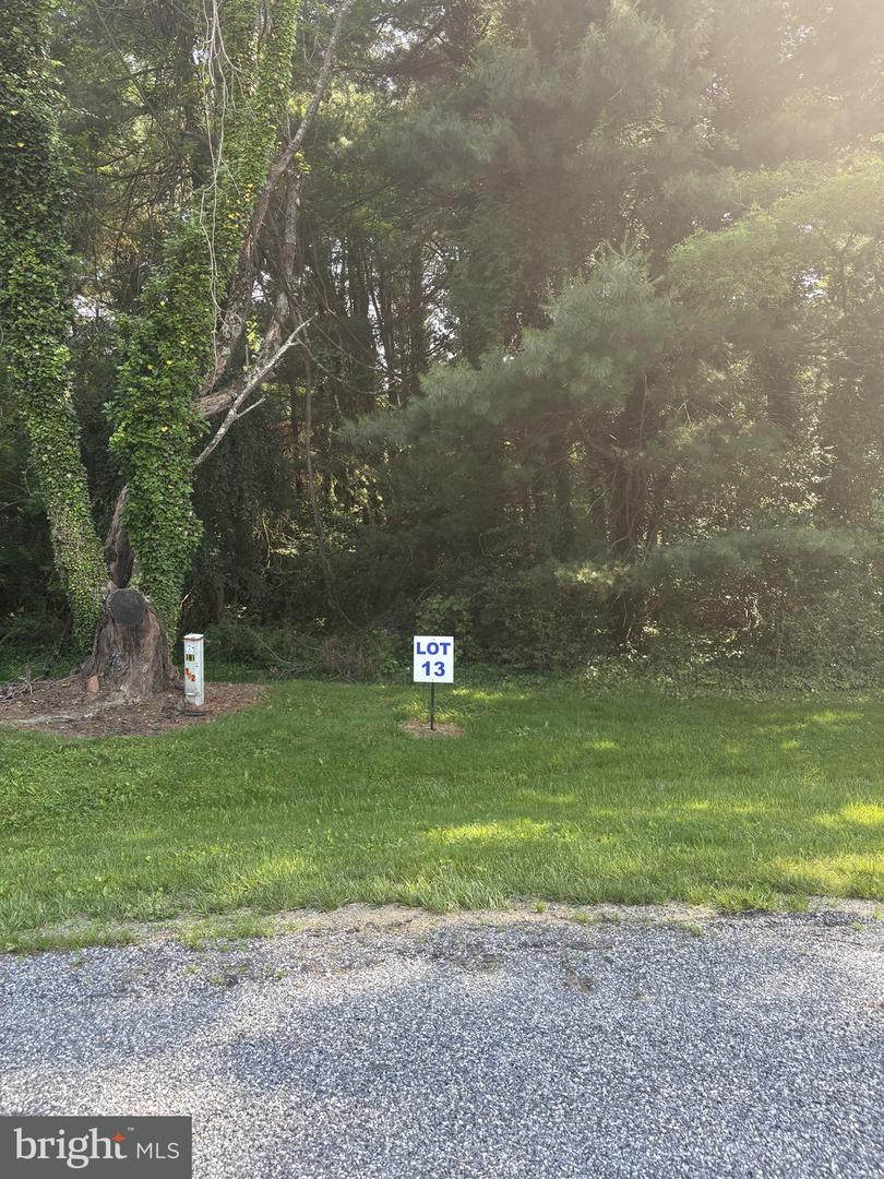 13 Wilson Point Rd, Galena, MD 21635 - Image #1