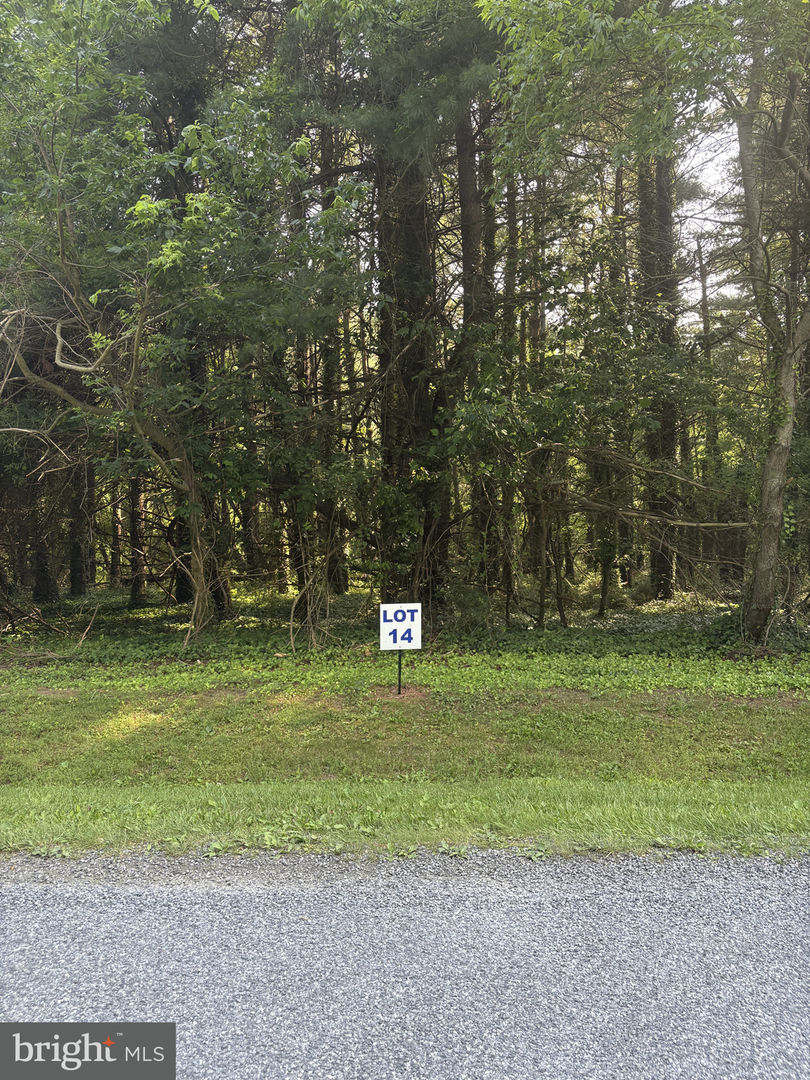 14 Wilson Point Rd, Galena, MD 21635 - Image #1