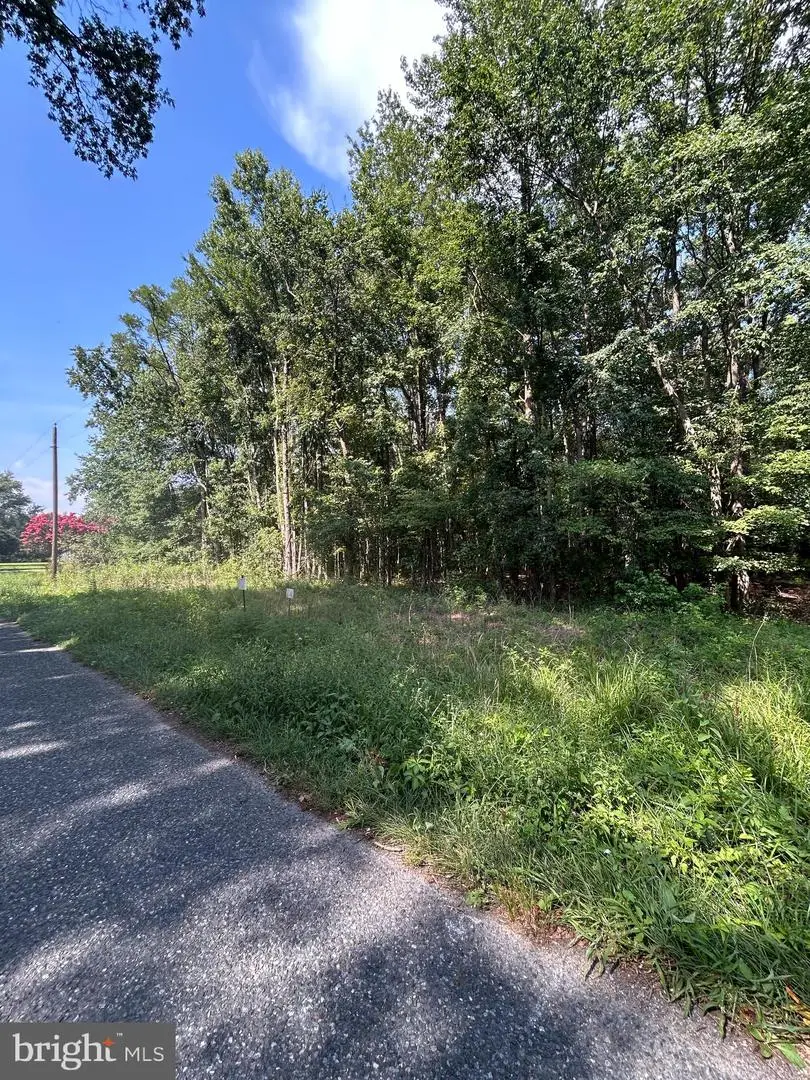 Chesterville Forest Rd #parcel 84a, Millington, MD 21651 - Image #1