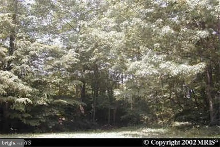 Tonopah Rd., Chestertown, MD 21620 - Image #1